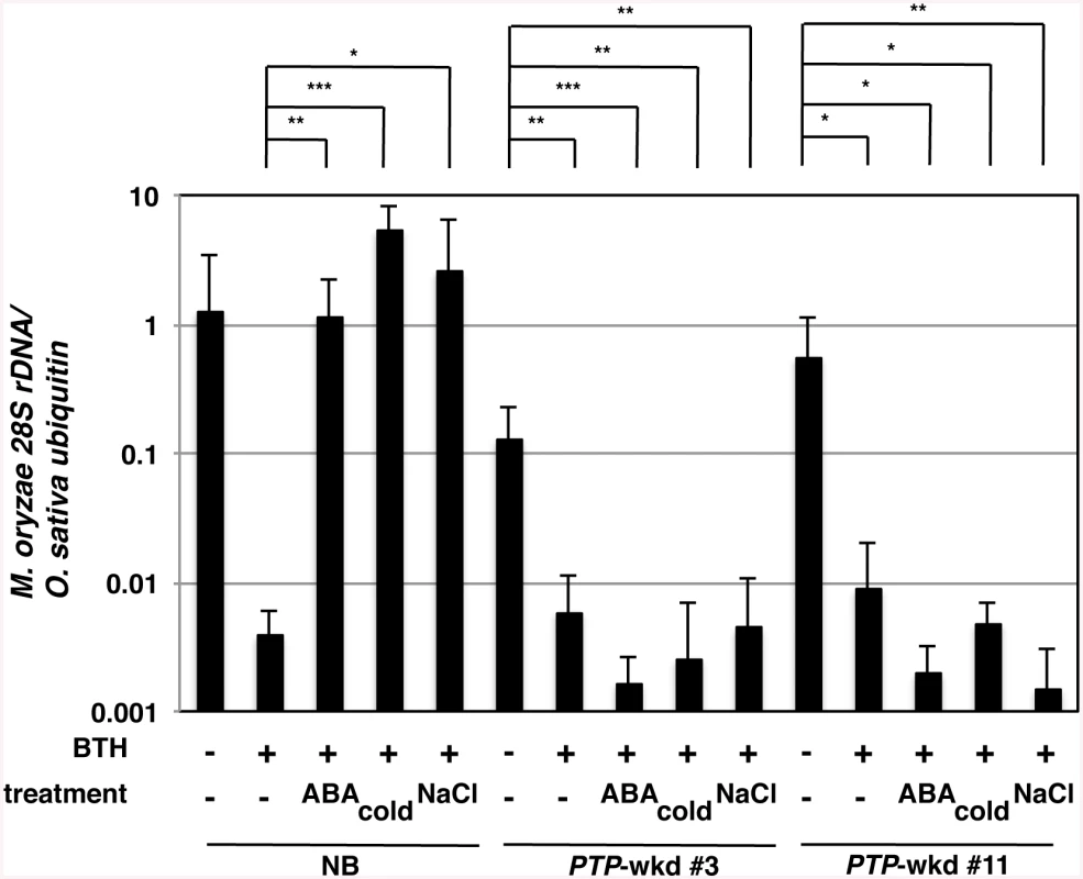 Blast resistance of WT and <i>PTP</i>-wkd plants under abiotic stress conditions.