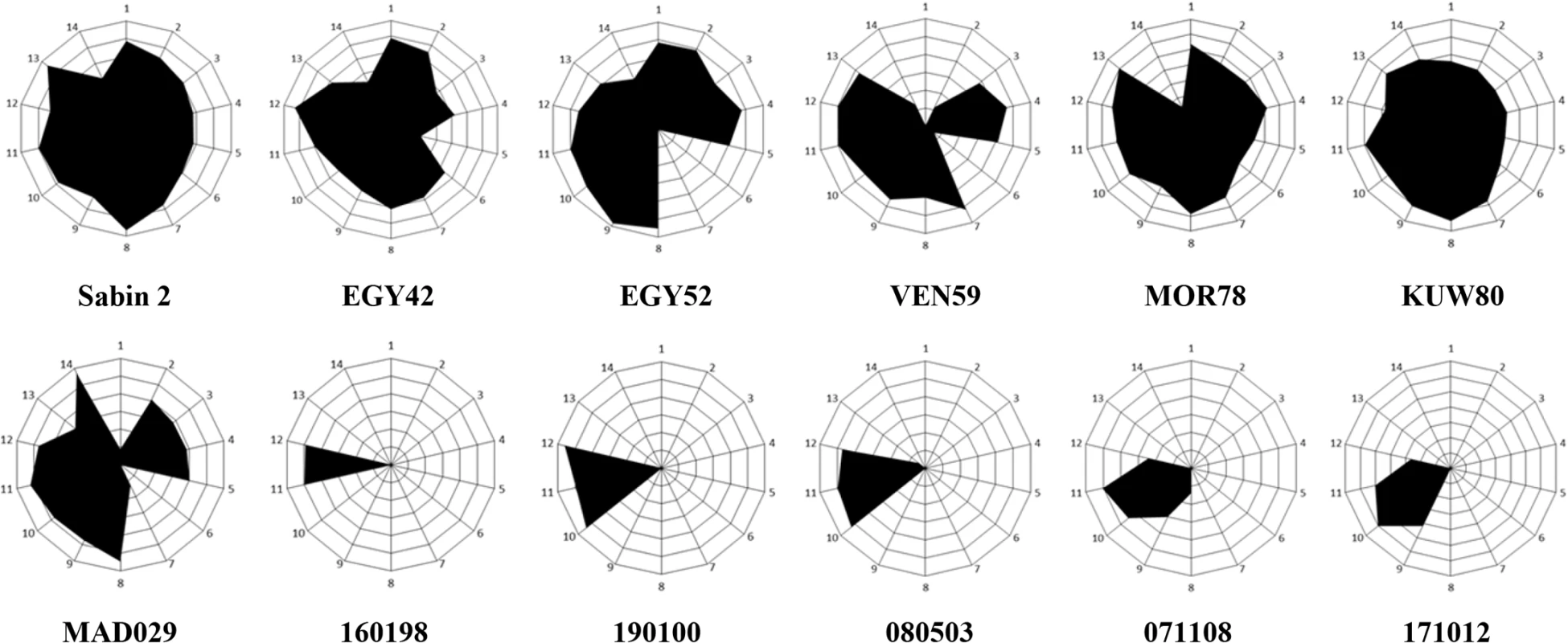 Antigenic structure of iVDPV strains.