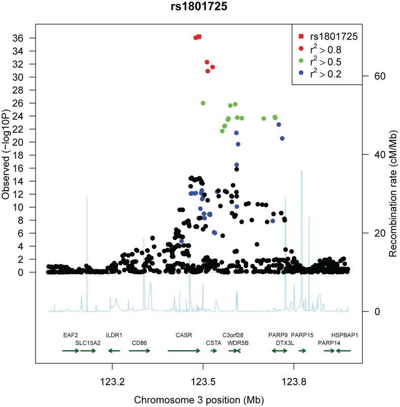 Regional association plot of the <i>CASR</i> locus.