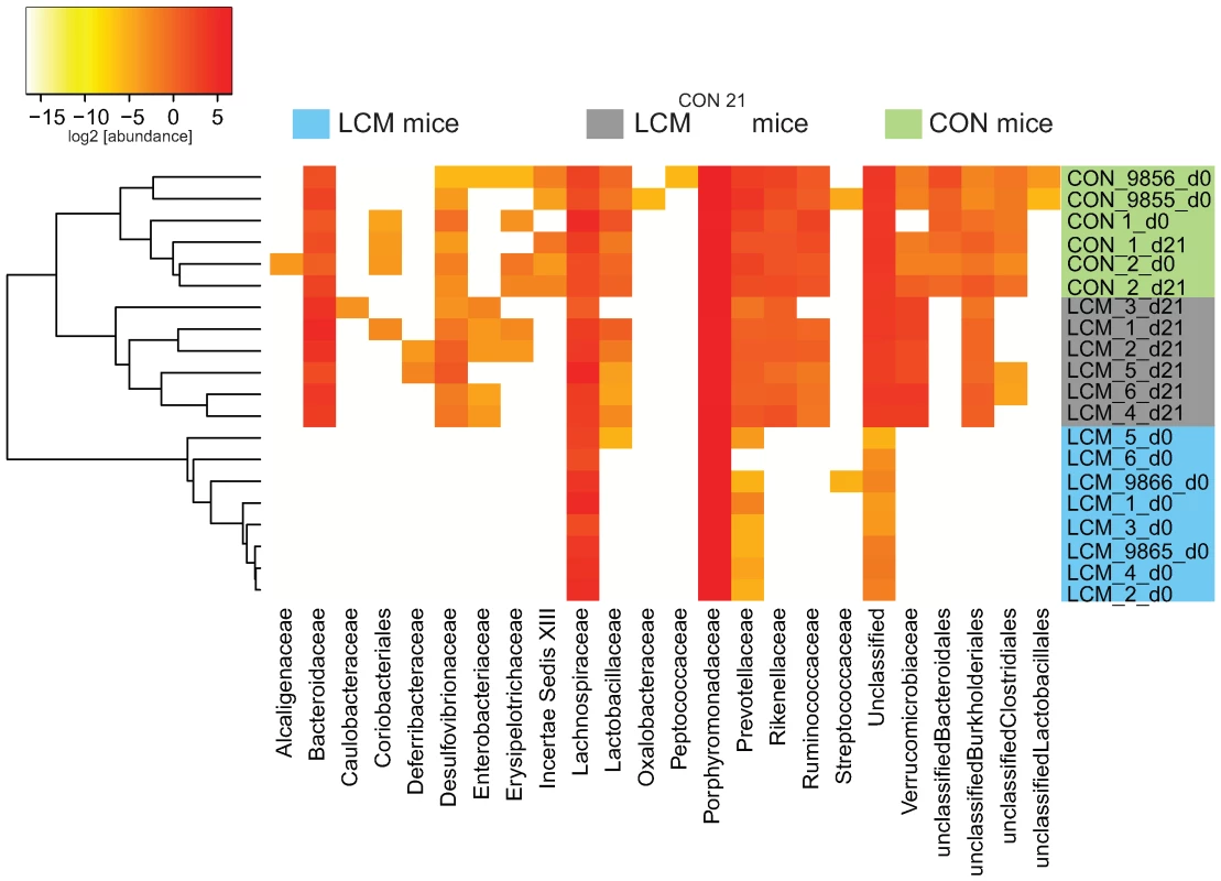 Heatmap showing OTU's distribution in different groups.