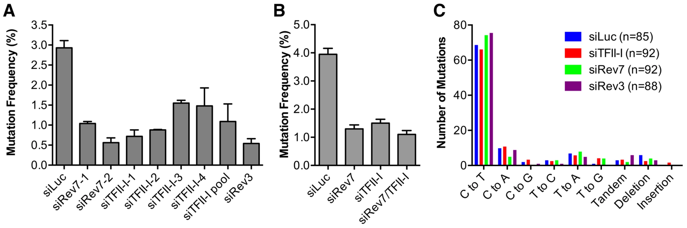 TFII-I is required for DNA translesion synthesis (TLS) in human cells.