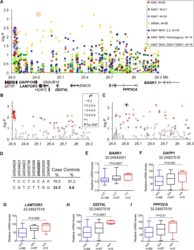 Genetic and gene expression analyses for chromosome 32 locus.