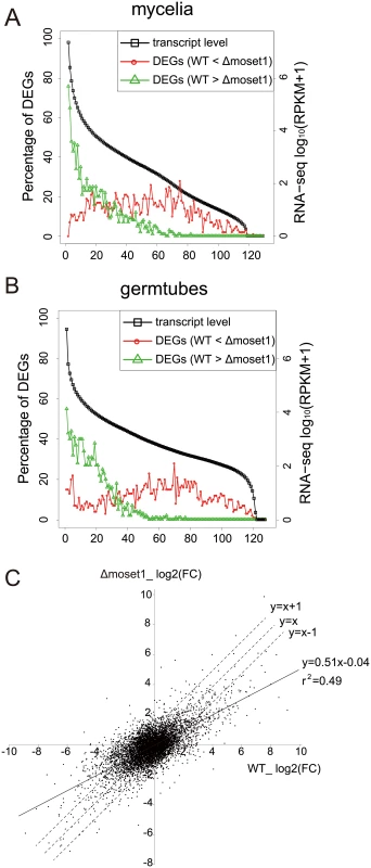 MoSET1 contributes to bilateral and global regulation of differentially expressed genes (DEGs).