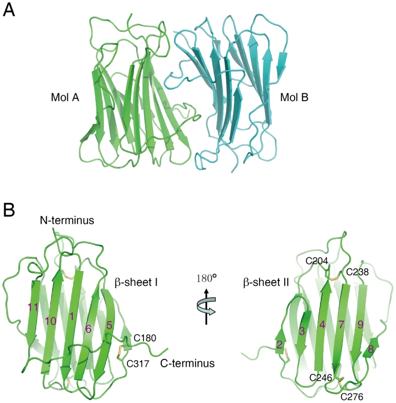 Crystal structure of the SECRET domain.