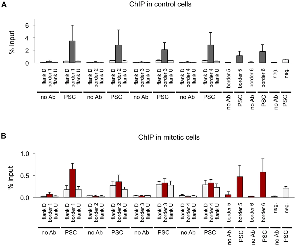 Validation of PSC binding a domain borders in control and mitotic cells.