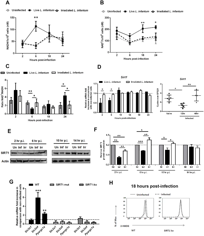 <i>L. infantum</i> modulates SIRT1 activity through redox state alteration.