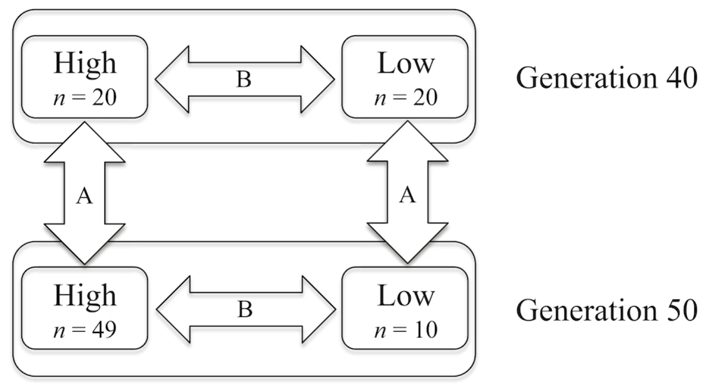 Schematic view of the groups of genotyped individuals and outline of the comparisons made in this study.