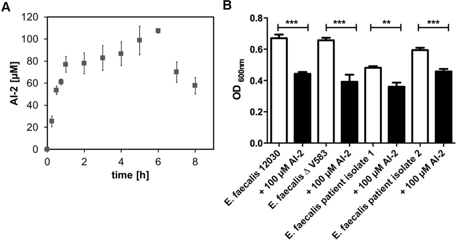 Time course of AI-2 production during growth of <i>E. faecalis</i> V583ΔABC (A) and biofilm formation of <i>E. faecalis</i> 12030, V583 ΔABC and two clinical isolates of <i>E. faecalis</i> (B).