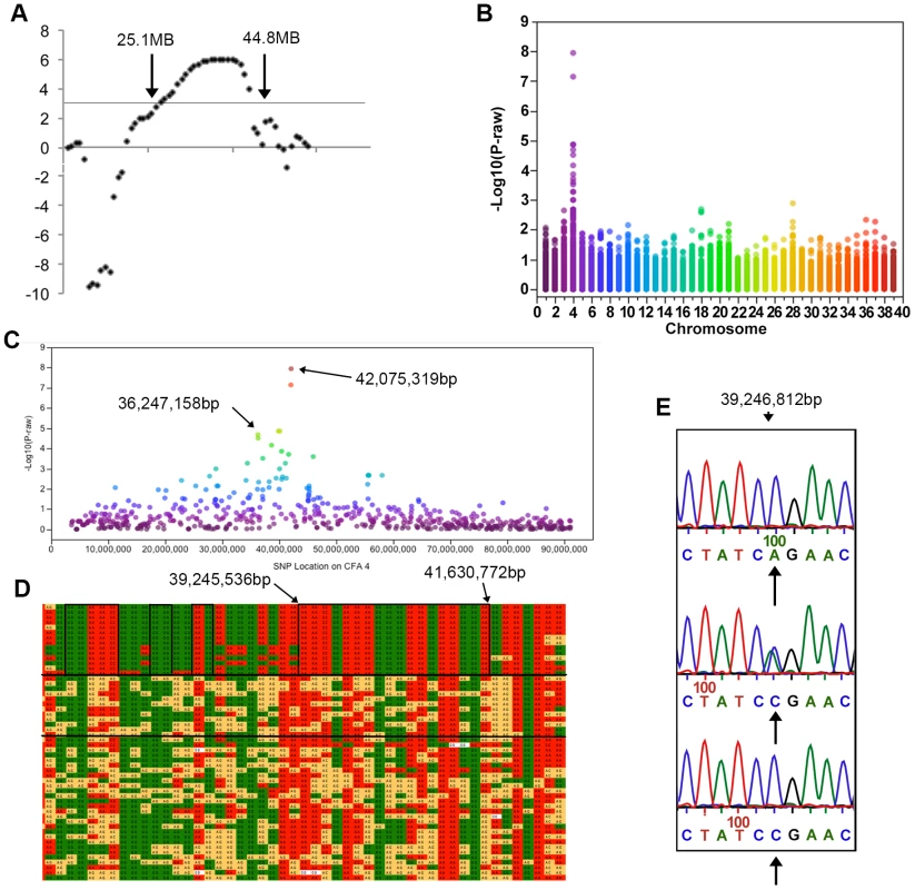 Results of genotyping, linkage and genome-wide association analyses.