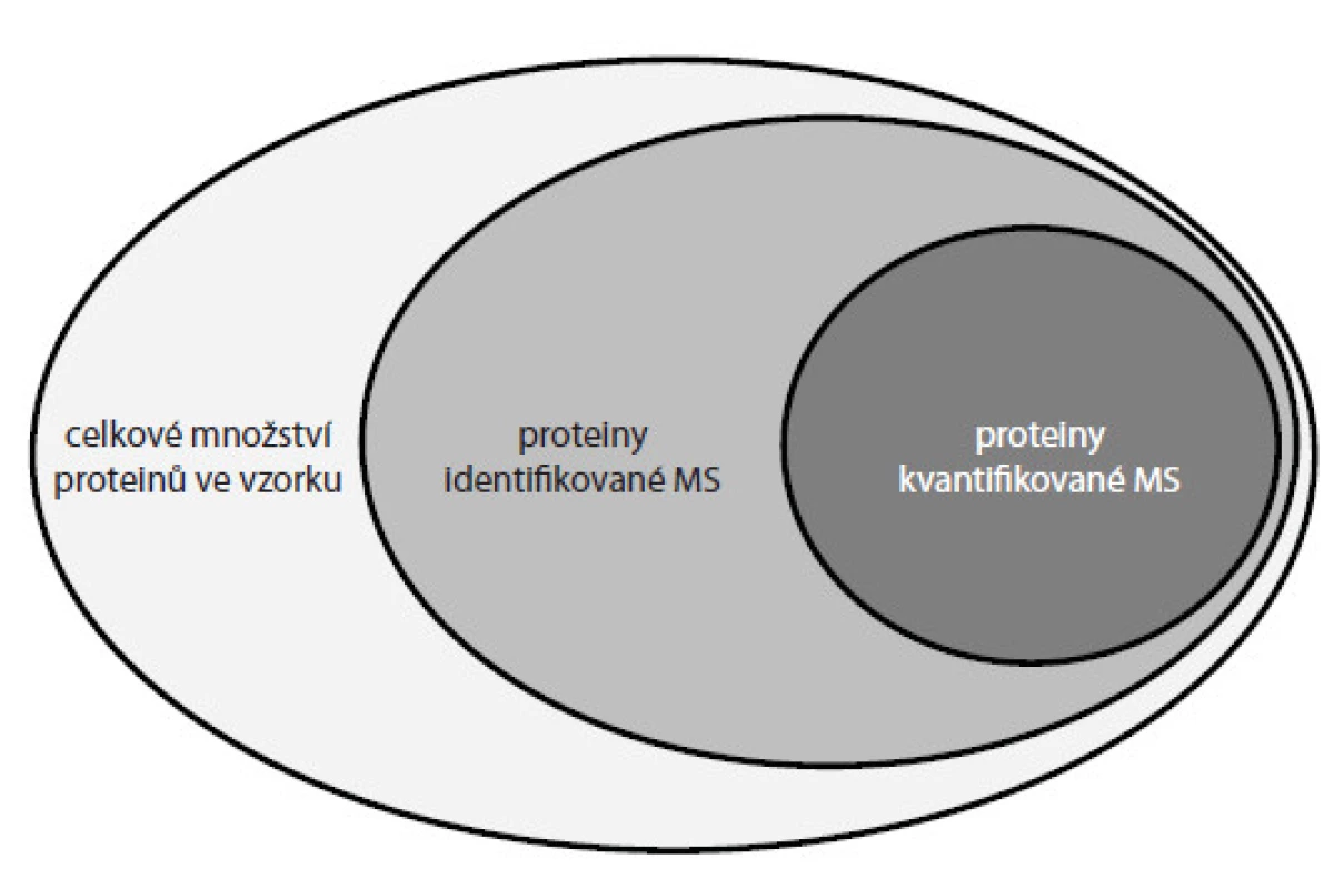 Znázornění počtu kvantifikovaných proteinů ve vzorcích analyzovaných proteomickými přístupy.