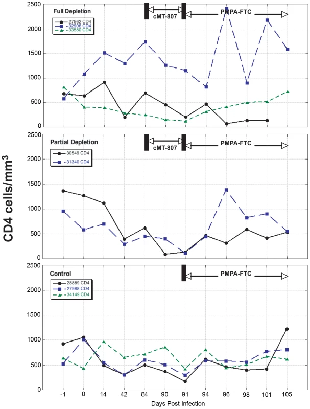 CD4 T-cell concentrations before, following treatment with cMT-807 antibody and after starting PMPA/FTC.