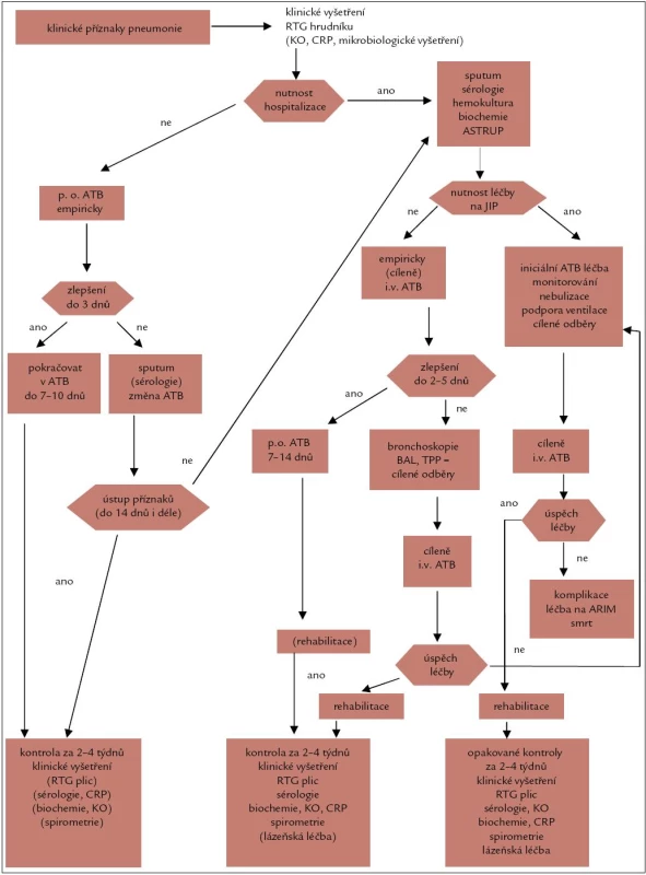 Vývojový diagram. Komunitně získaná pneumonie u dospělých.