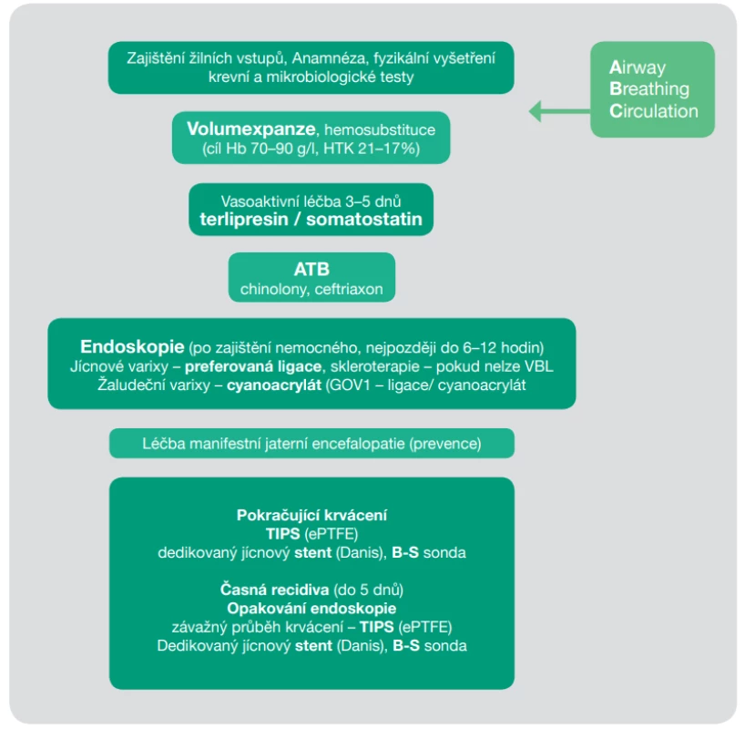 Základní schéma – postup při léčbě varikózního krvácení (upraveno dle [1])