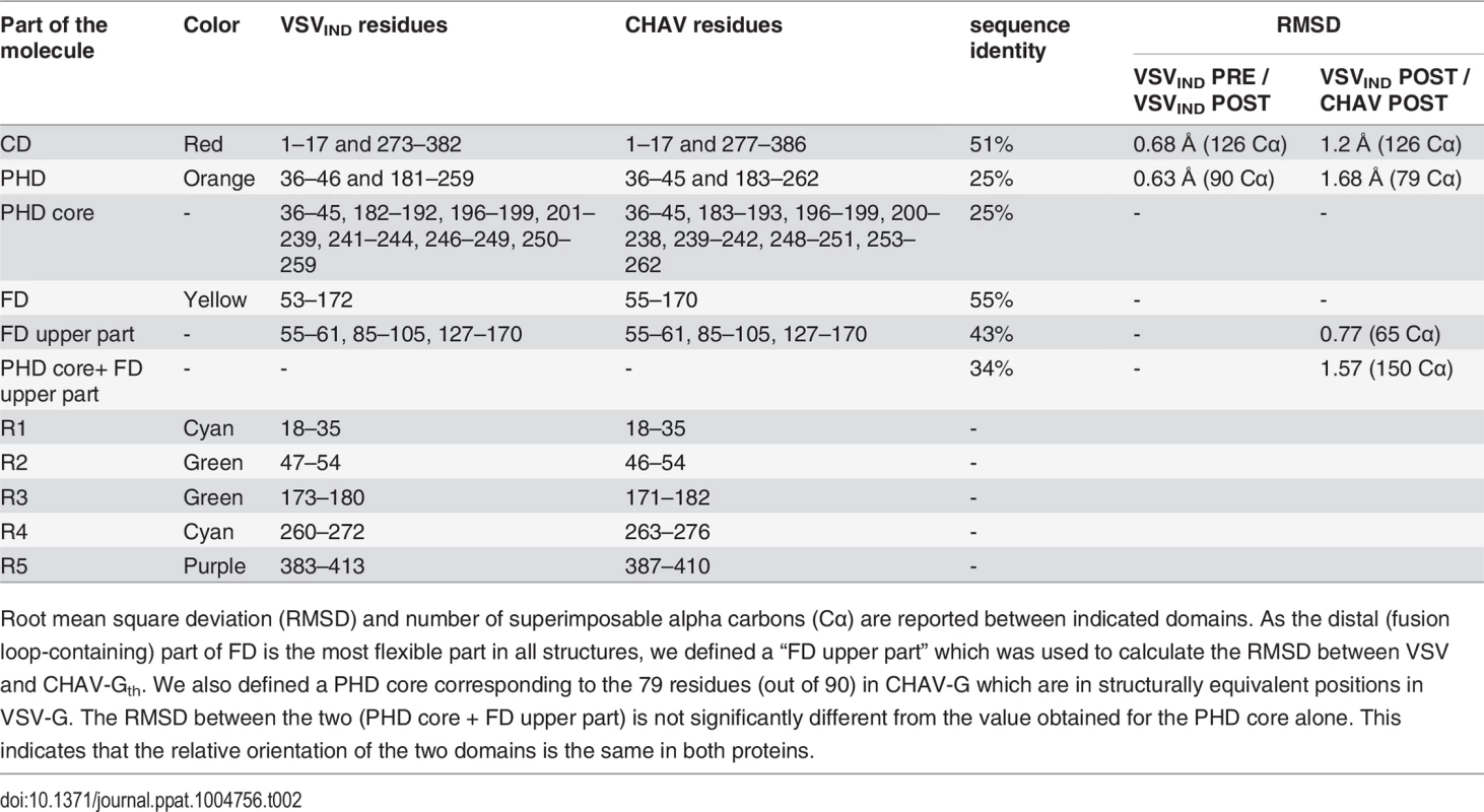 Domains and segments nomenclature used in the text.