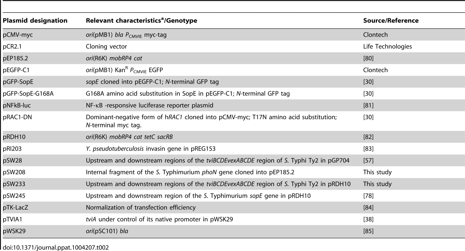 Plasmids used in this study.