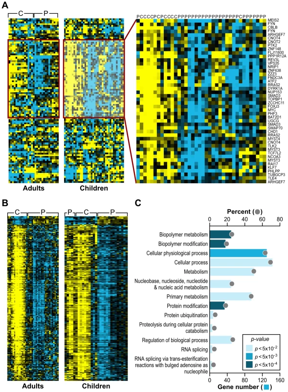 Analogous gene expression responses in blood from children and adults with FRDA.