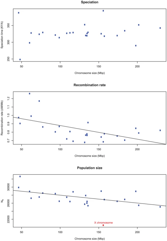 The correlation of inferred parameters with chromosome size.