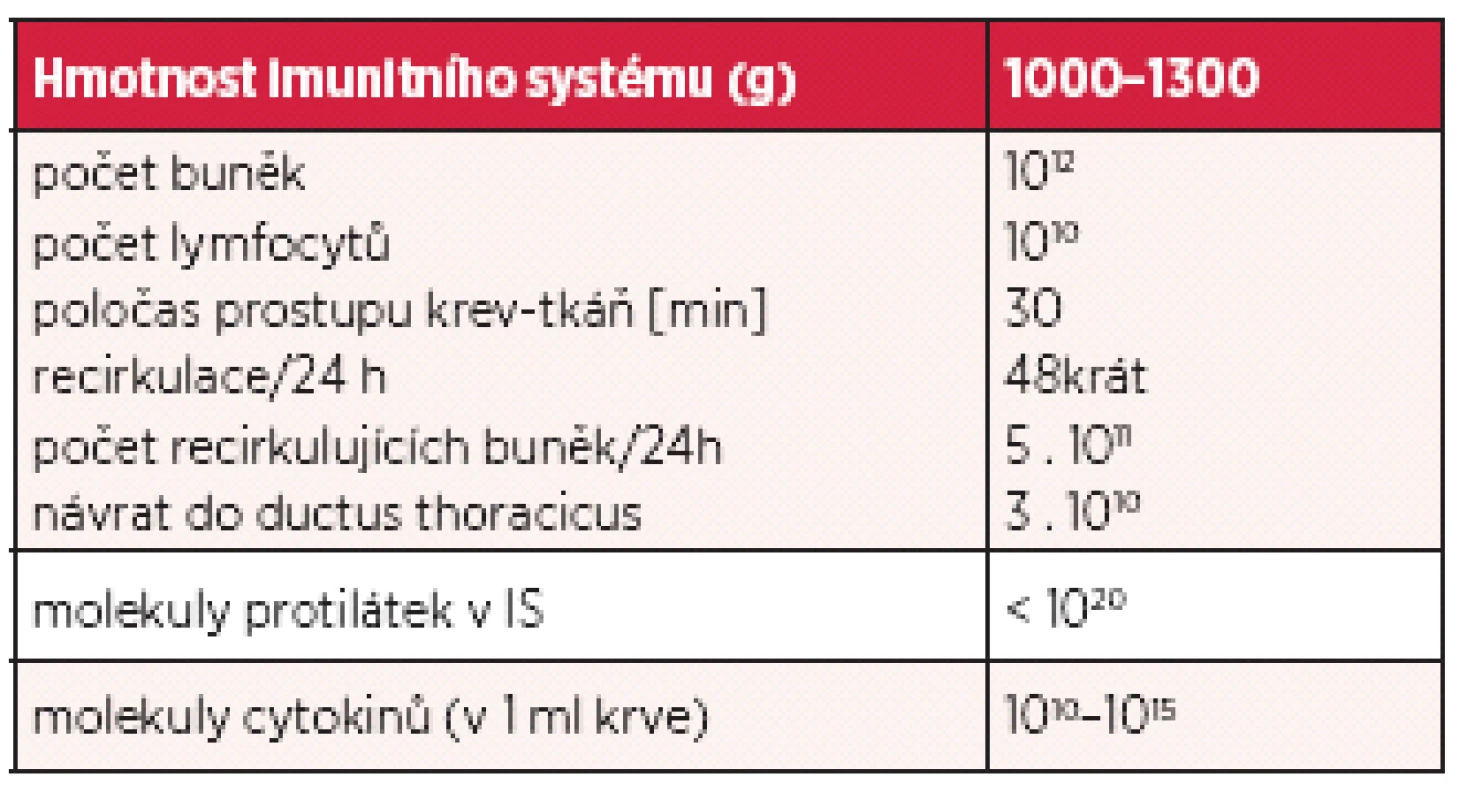 Odhadovaná buněčnost, obměna imunocytů a molekul protilátek a cytokinů v imunitním systému člověka (upraveno podle citace 24)