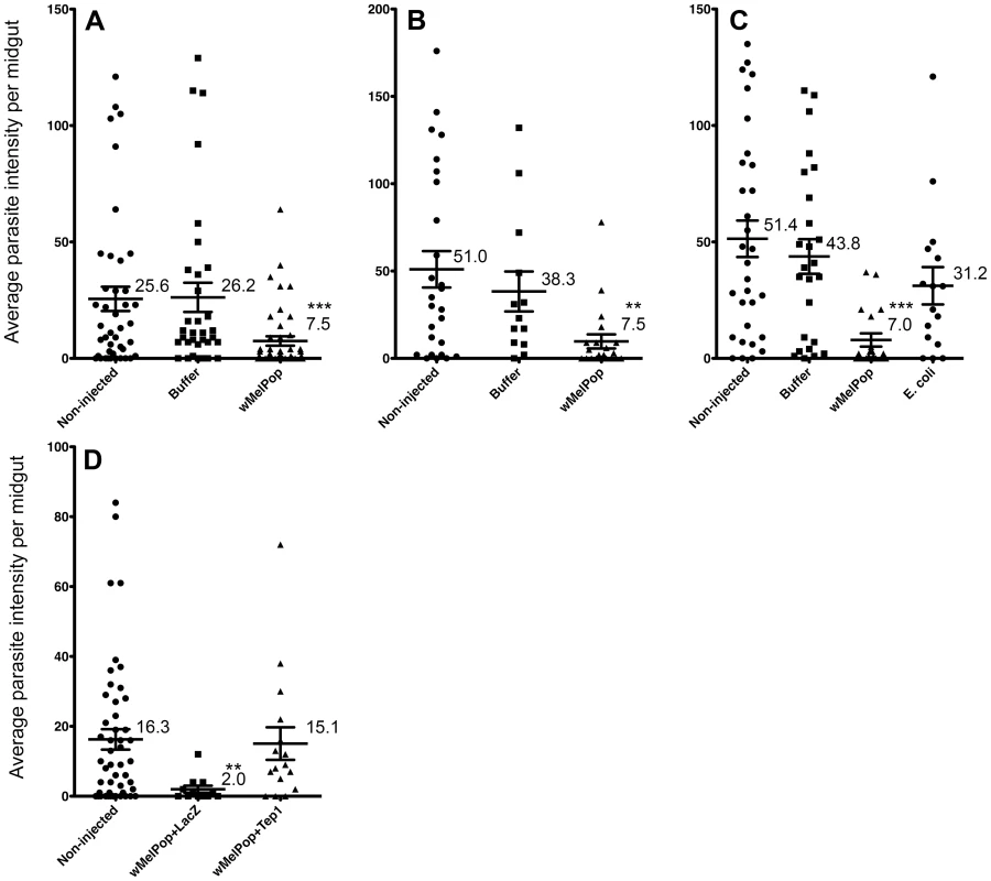 <i>An. gambiae</i> somatically infected with <i>w</i>MelPop: challenges with <i>Plasmodium berghei</i>.