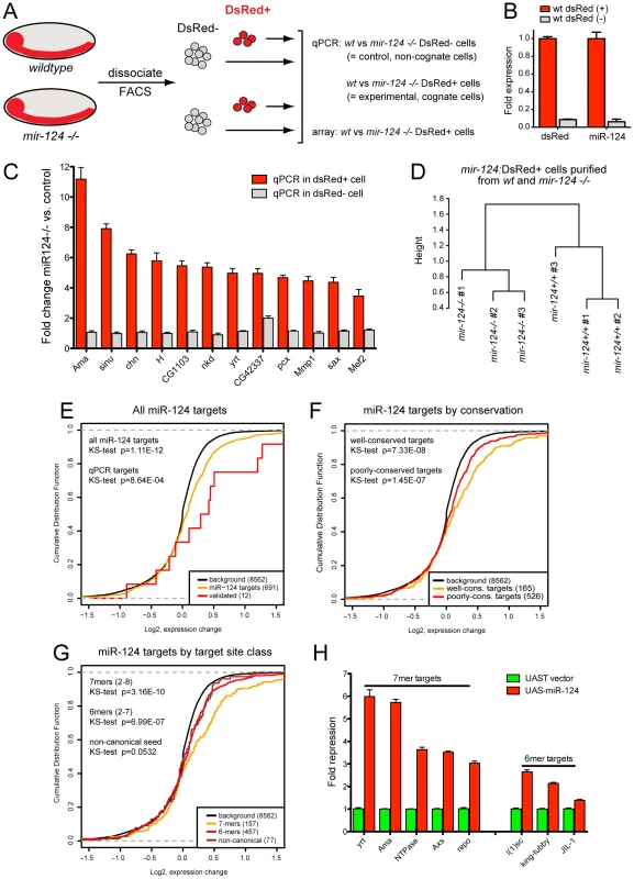 Gene expression in miR-124+ cells from wild-type and <i>mir-124</i> mutants.