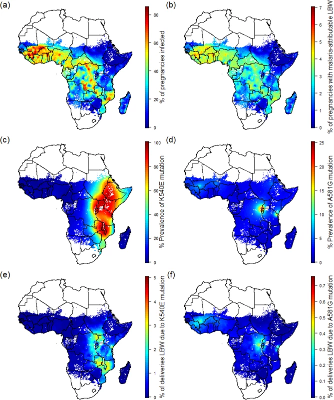 Preventable malaria burden and sulphadoxine-pyrimethamine resistance.