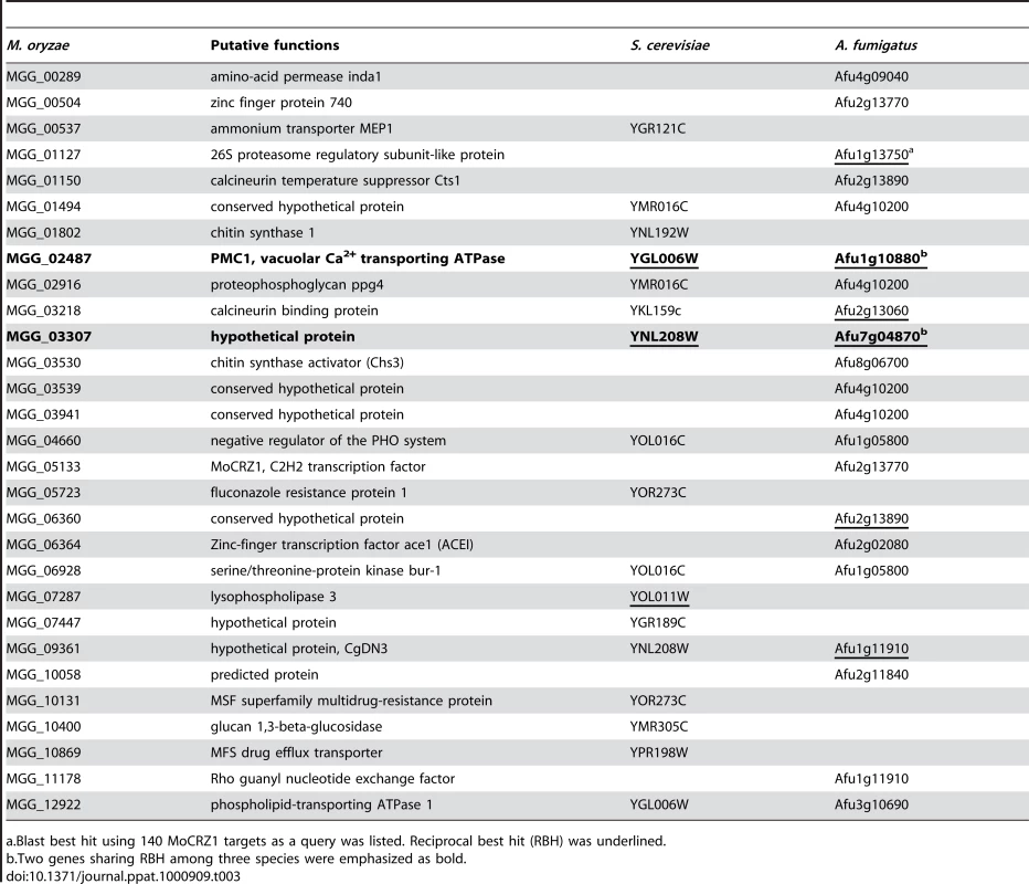 List of common genes regulated by calcium/calcineurin/CRZ1 across species.