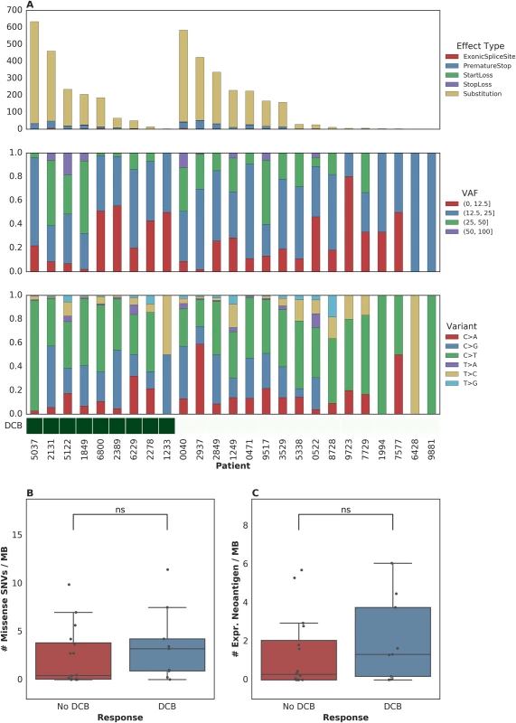Single nucleotide variants (SNVs) and treatment response.