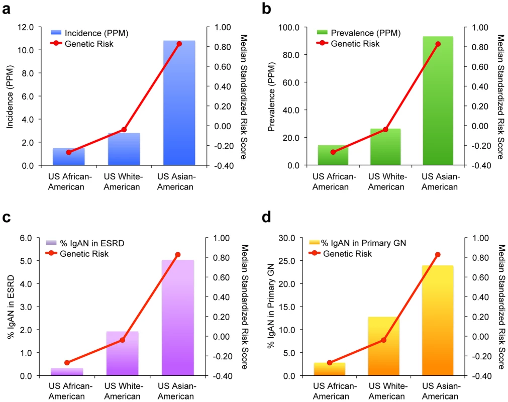 Genetic risk and IgAN–attributable ESRD among major US ethnicities.