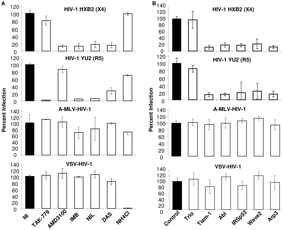 Infection with HIV-1 particles but not particles pseudotyped with MLV Env or VSV-G depends on the Abl and Wave2 signaling complex.