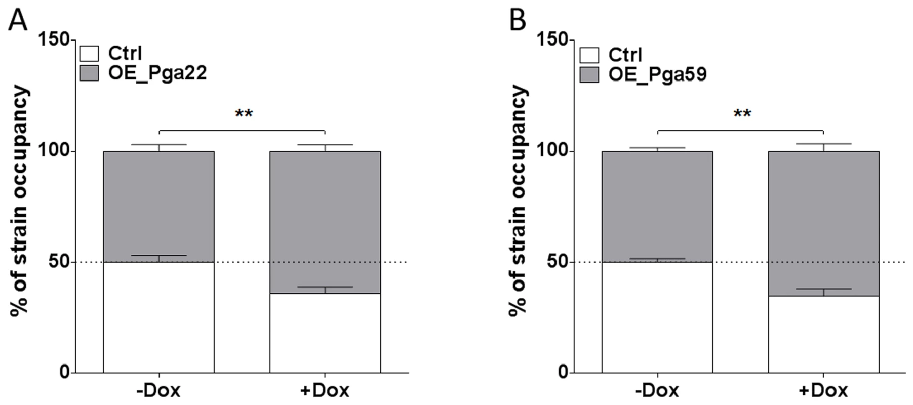 Higher occupancy of strains overexpressing <i>PGA22</i> and <i>PGA59</i> in a mixed biofilm formed with a wild-type strain.