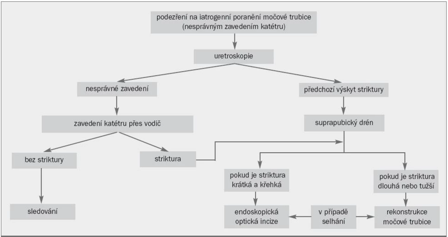 Algoritmus pro léčbu iatrogenního poranění močové trubice vyvolaného nesprávným zavedením katétru.