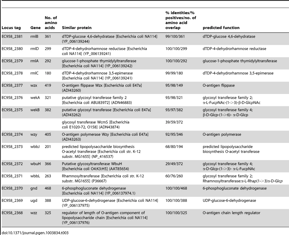 Summary of <i>E. coli</i> EC958 O25b antigen biosynthesis genes.