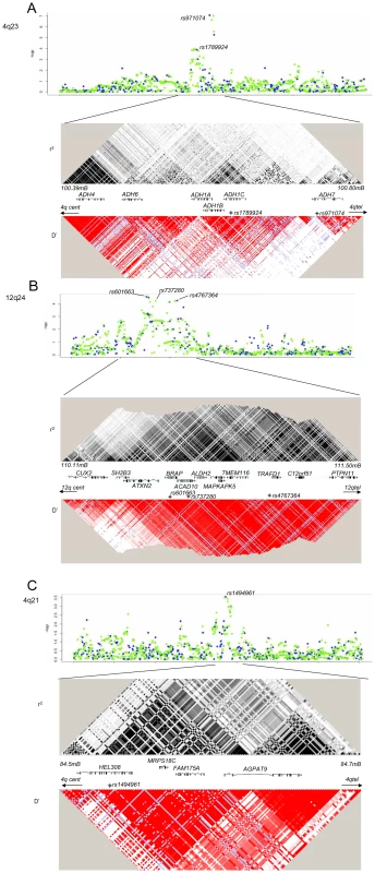 Imputation and LD patterns.
