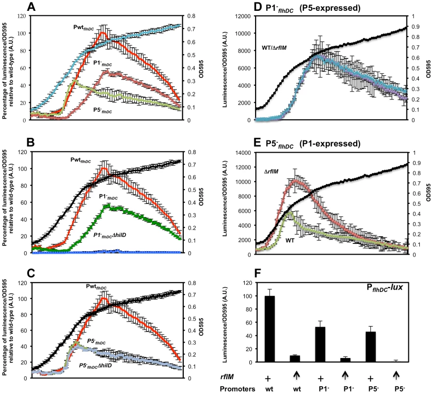 Transcription levels of the P1<i><sub>flhDC</sub></i> and the P5<i><sub>flhDC</sub></i> promoters during the cell growth phase and their regulation by HilD and RflM.