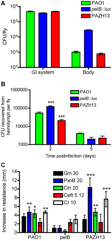 <i>In vivo</i> localization and antibiotic resistance profiling of biofilm and non-biofilm infections.