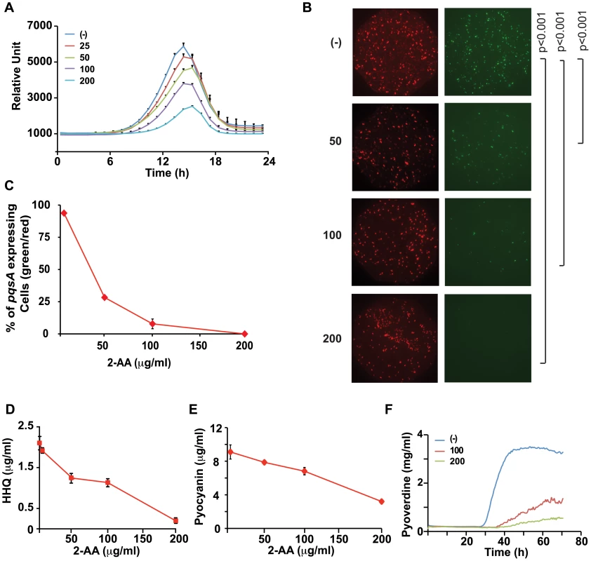 2-AA silences MvfR regulon in a subpopulation of cells and restricts HAQ mediated QS signaling relevant in acute infection.