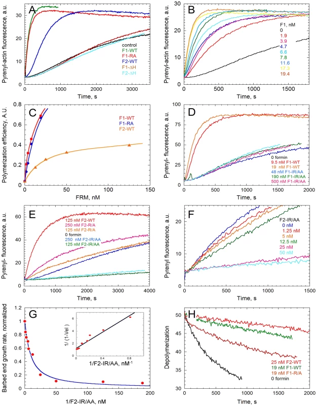 <i>In vitro</i> activities of the FH2 domains of TgFRM1 and TgFRM2 in actin assembly.