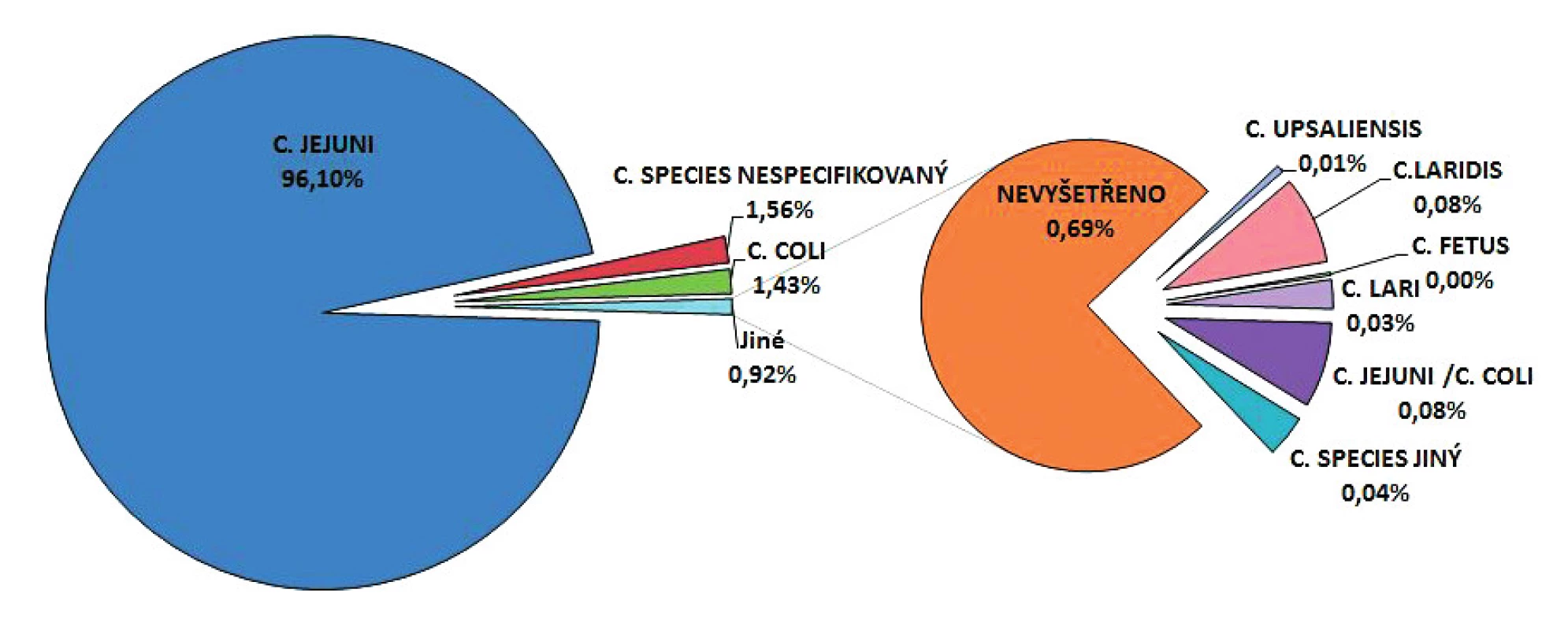 Podíl jednotlivých druhů rodu Campylobacter spp. na onemocnění kampylobakteriózou v ČR v letech 1997–2017, EpiDat<br>
Figure 5. Distribution of campylobacteriosis cases by causative species in the Czech Republic in 1997-2017, EpiDat