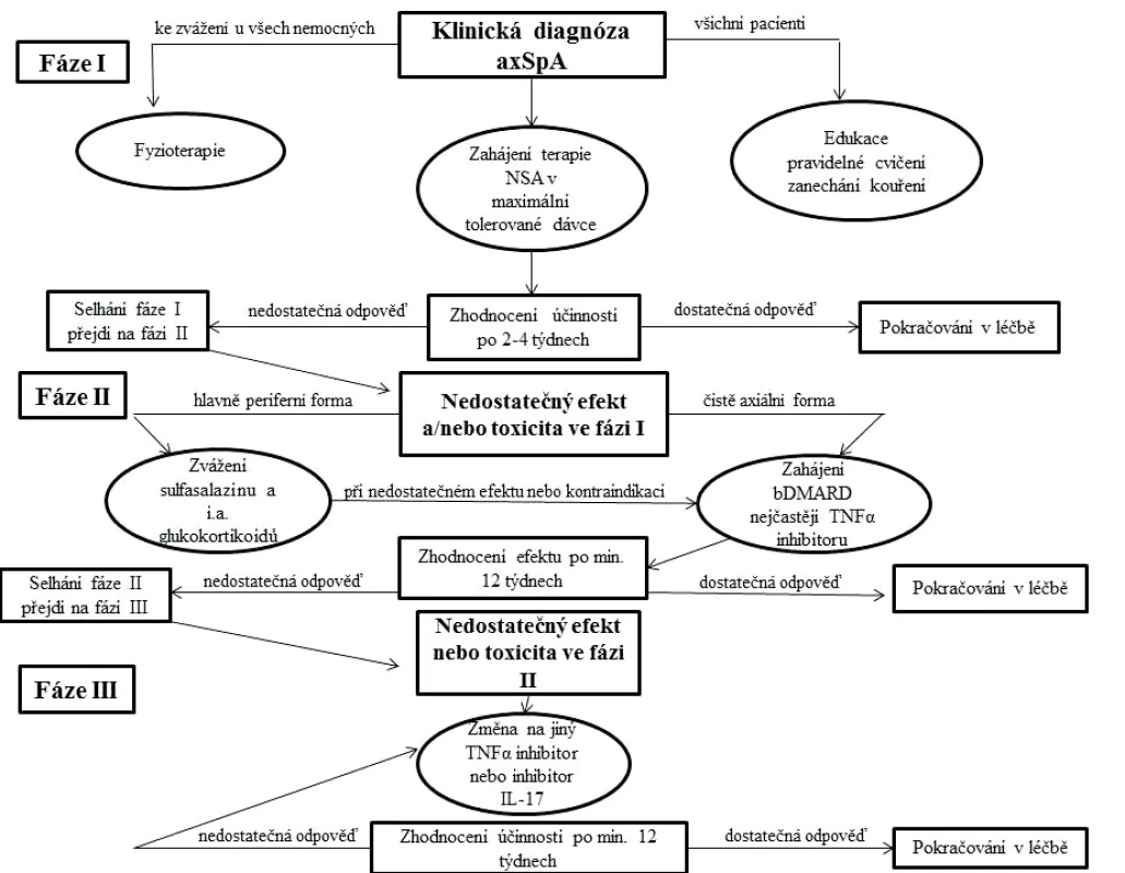 Doporučení pro léčbu axiální spondyloartritidy dle Evropské ligy proti revmatismu (EULAR) a Mezinárodní společnosti pro
hodnocení spondyloartritid (ASAS) z roku 2016. axSpA, axiální spondyloartritida; NSA, nesteroidní antiflogistika; bDMARD, biologický
chorobu modifikující lék; TNFα, tumor nekrotizující faktor alfa; IL-17, interleukin 17; i.a., intraartikulární.
