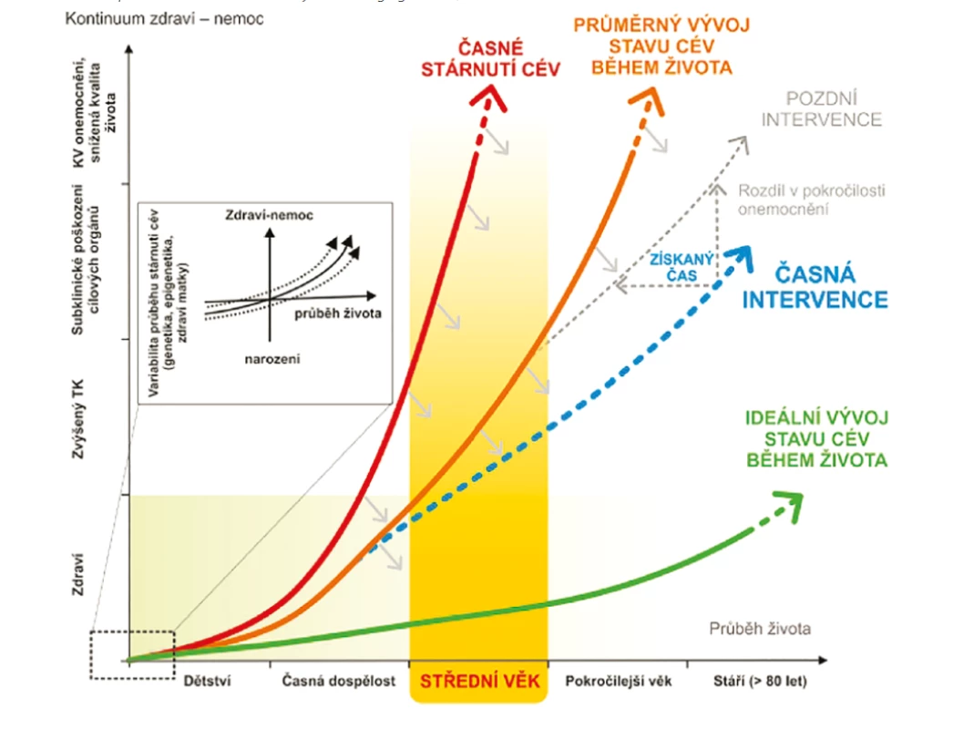 Koncept časného stárnutí cév – early vascular aging (EVA) (6, 7)