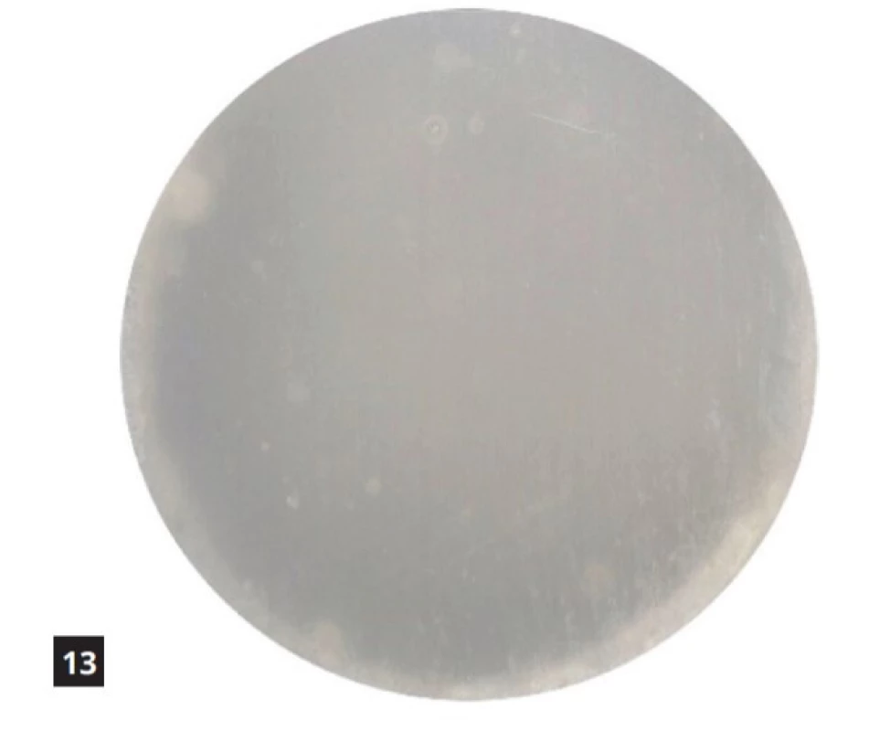 Kontrolní vzorek Filteku Ultimate Flow ve vodě<br>
Fig. 13 Filtek Ultimate Flow control sample in water