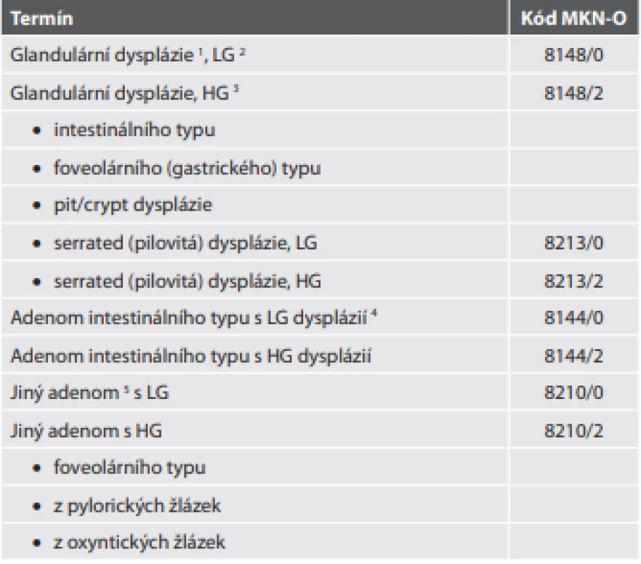 Prekurzory (premaligní léze) adenokarcinomu žaludku.