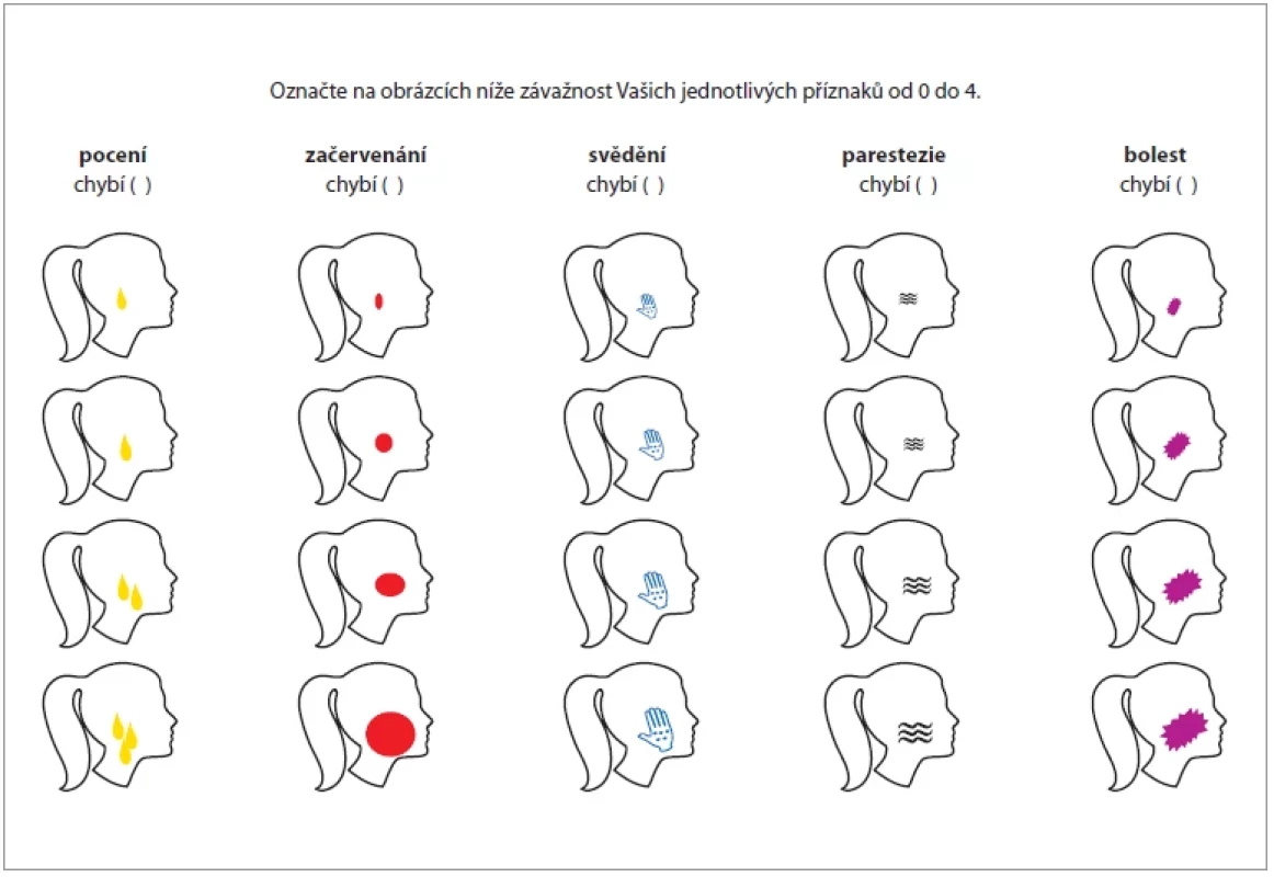 SFIPP – Frey scale. Upraveno podle Marchese et al. [18]. <br> 
Fig. 4. SFIPP – Frey scale. According to Marchese et al. [18].
