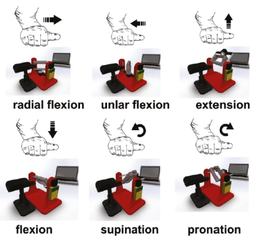 Range of exercises possible on the manipulator.