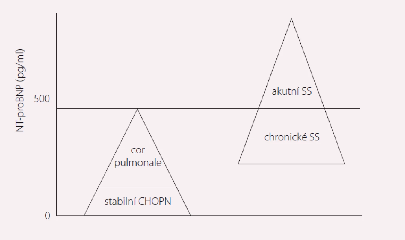 Hodnoty natriuretických peptidů u pacientů s CHOPN a SS. Upraveno dle [10].