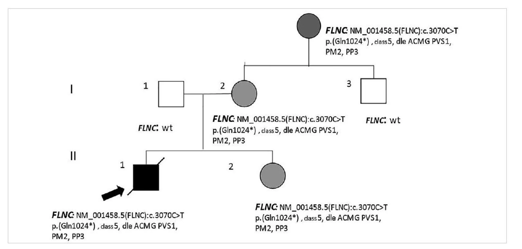 Případ náhle zemřelého nezletilého chlapce a neúplná penetrance příčinné varianty DNA u příbuzných žen v rodině (popis viz text).