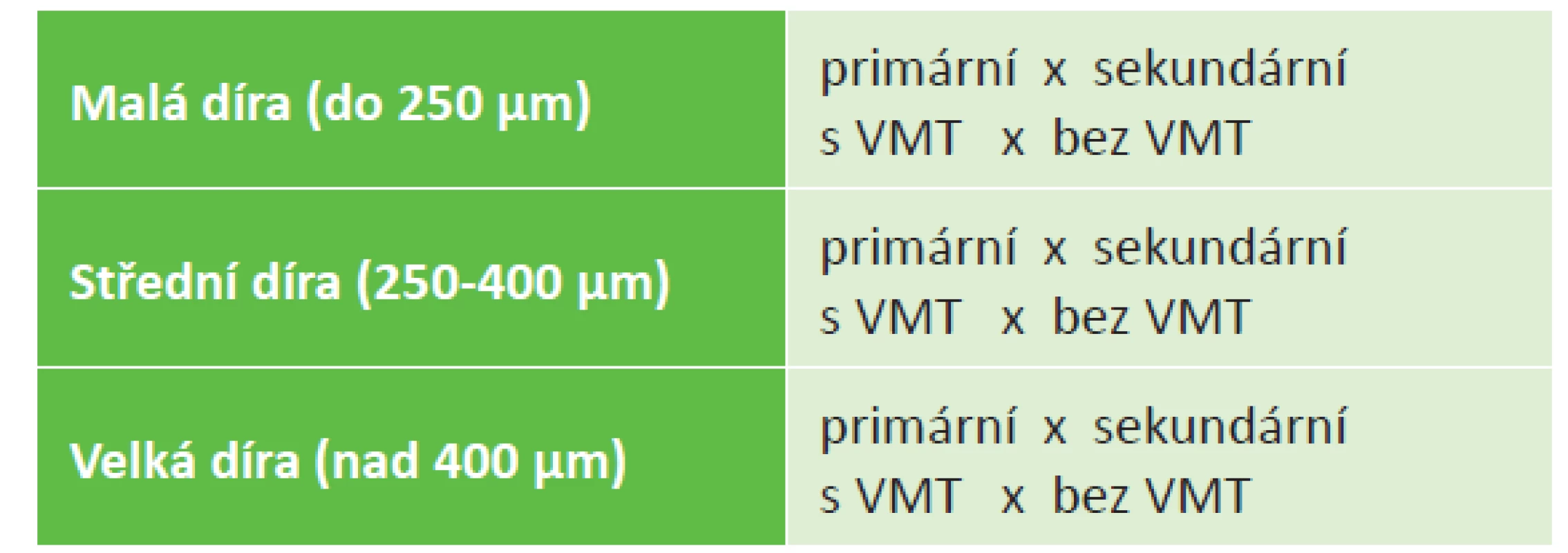 IVTS klasifikace makulární díry