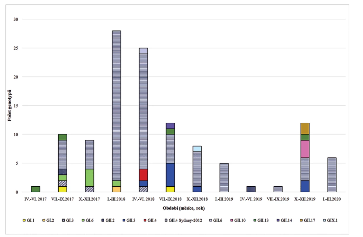 Výskyt genoskupin/genotypů norovirů ve Fakultní nemocnici Plzeň (červen 2017 až březen 2020)<br>
Figure 1. The occurrence of norovirus genogroups/genotypes at the Pilsen University Hospital (June 2017–March 2020)