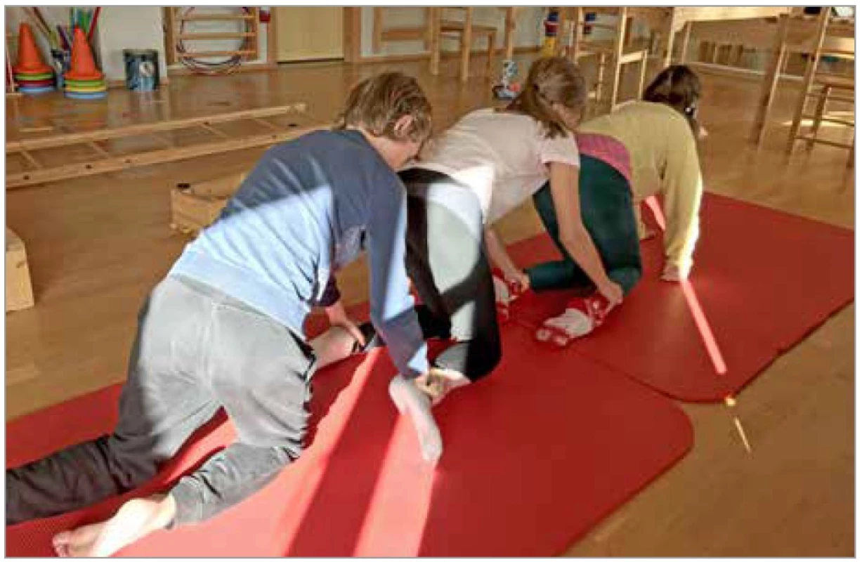 Skupinové aktivity<br>
Fig. 1. Group activities