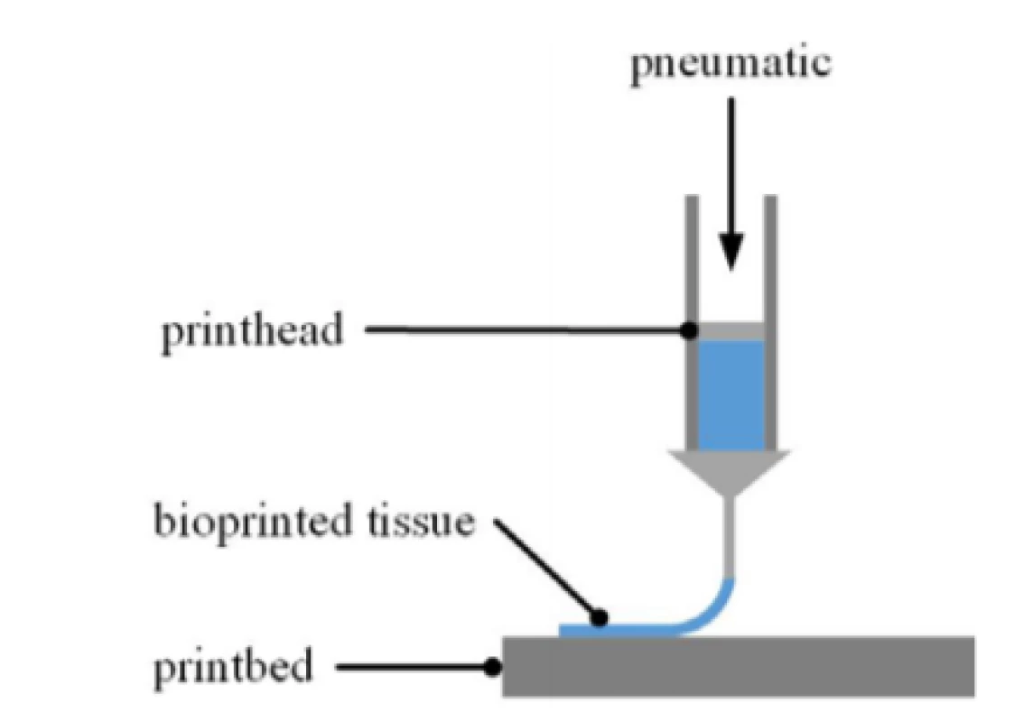Schematic of EBB process. The printhead is
movable in x/y and z axis along the given toolpath. The
bioink is loaded into the printhead by means of
a cartridge. The print bed can be equipped with any kind
of substrates such as multiwell plates or a MEA chip.
